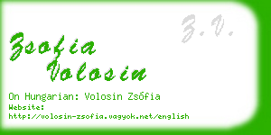 zsofia volosin business card